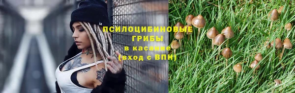 гидропоника Лагань